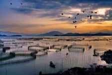 绵阳伴游中国网景点丰富(旅游网介绍)