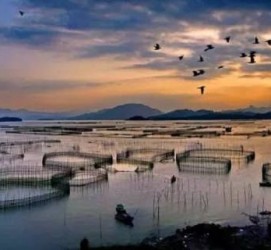 绵阳伴游中国网景点丰富(旅游网介绍)