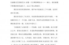 绵阳旅游感想(张家界旅游感想)