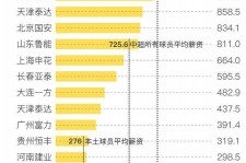 绵阳关于伴游小丽中国足球的信息