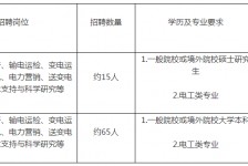 绵阳重庆有雇用伴游外围吗(高端外围伴游雇用一单一结)