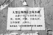 绵阳珠海伴游雇用网(珠海游览社雇用信息)