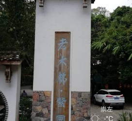 绵阳关于伴游中国伴游你们伴得是什么游的信息