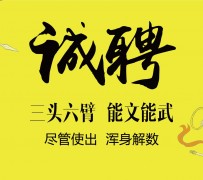 绵阳私人伴游招聘 一线二线城市招聘大圈中圈小圈女孩商务模特佳丽女模名媛招聘高薪一单一结