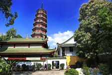 绵阳广州自由行(广州 自由行)