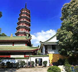 绵阳广州自由行(广州 自由行)