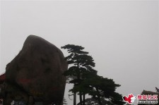 绵阳上海伴游私家陪游雇用女模(上海伴游私家陪游雇用女模特)