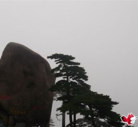 绵阳上海伴游私家陪游雇用女模(上海伴游私家陪游雇用女模特)