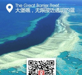 绵阳中国250家旅行社结伴游新西兰(新西兰当地旅行社)