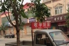绵阳上海伴游 用伴游造句大全(5