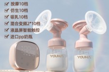 绵阳奶模(奶模型)
