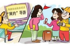 绵阳伴游是什么