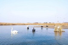 绵阳南昌附近伴游小妹兼职(1534939978姐的微信德惠市)