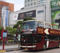 绵阳上海私人伴游 上海过年怎么玩？这些“微游”线路了解下→