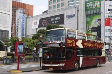 绵阳上海私人伴游 上海过年怎么玩？这些“微游”线路了解下→