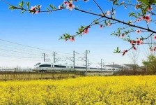 绵阳高铁游(高铁游戏下载手机版)