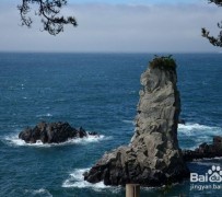 绵阳旅游全攻略(上海旅游全攻略)