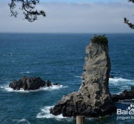 绵阳旅游全攻略(上海旅游全攻略)
