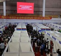 绵阳上海伴游雇用无押金(上海伴游雇用无押金可靠吗)