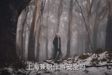 绵阳上海私人伴游 上海伴游，上海兼职伴游安全吗
