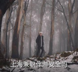 绵阳上海私人伴游 上海伴游，上海兼职伴游安全吗