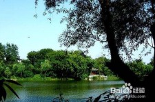 绵阳西湖旅游攻略(上海到杭州西湖旅游攻略)