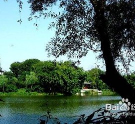 绵阳西湖旅游攻略(上海到杭州西湖旅游攻略)