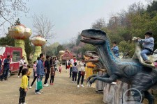 绵阳中国伴游带你打卡网红南山竹海(南山竹海网上预约)