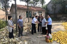 绵阳关于宋叔带老伴游中国的信息