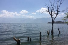 绵阳洱海旅游攻略(洱海旅游攻略自由行)