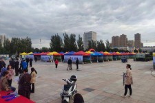 绵阳通辽伴游雇用(哈尔滨伴游雇用)