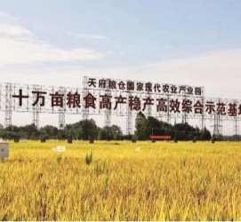 绵阳关于成都商务伴游外围雇用的信息