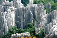 绵阳贵阳市游览社英语伴游雇用(贵阳市前十名游览社是哪几家)