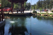 绵阳久久伴游**(久久游代理)