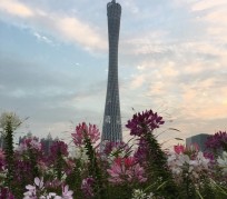 绵阳广州旅游攻略(杭州到广州旅游攻略)