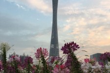 绵阳广州旅游攻略(杭州到广州旅游攻略)