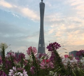 绵阳广州旅游攻略(杭州到广州旅游攻略)