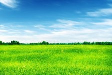 绵阳上海伴游 上海模特伴游微信号的交友宣言