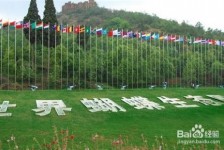 绵阳昆明旅游攻略(昆明旅游攻略景点大全抚仙湖)