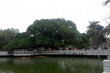 绵阳福州旅游攻略(福州旅游攻略二日游)