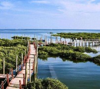 绵阳旅游哪里好玩(云南旅游哪里好玩)