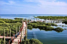 绵阳旅游哪里好玩(云南旅游哪里好玩)