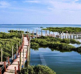 绵阳旅游哪里好玩(云南旅游哪里好玩)