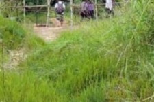 绵阳苍溪学生做伴游兼职(苍溪学生做伴游兼职怎么样)
