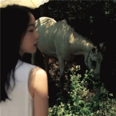 绵阳私家伴游让你拥有一次完美的旅游体验