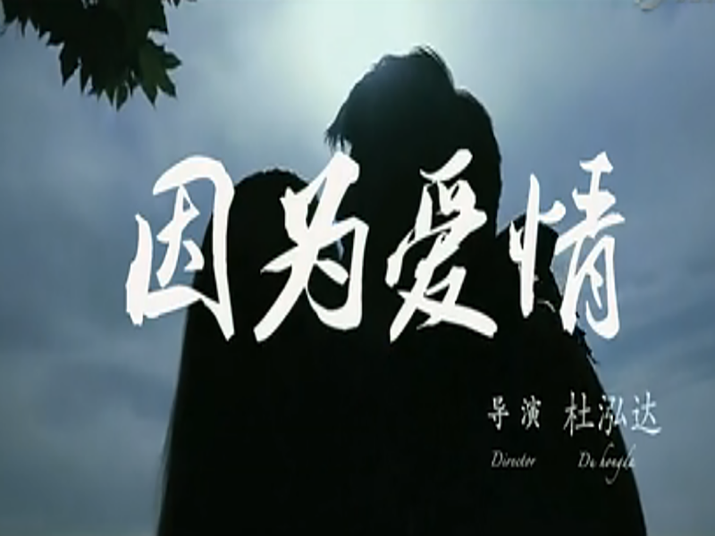 上海伴游网站私家玩耍(上海伴游网站私家玩耍团队)