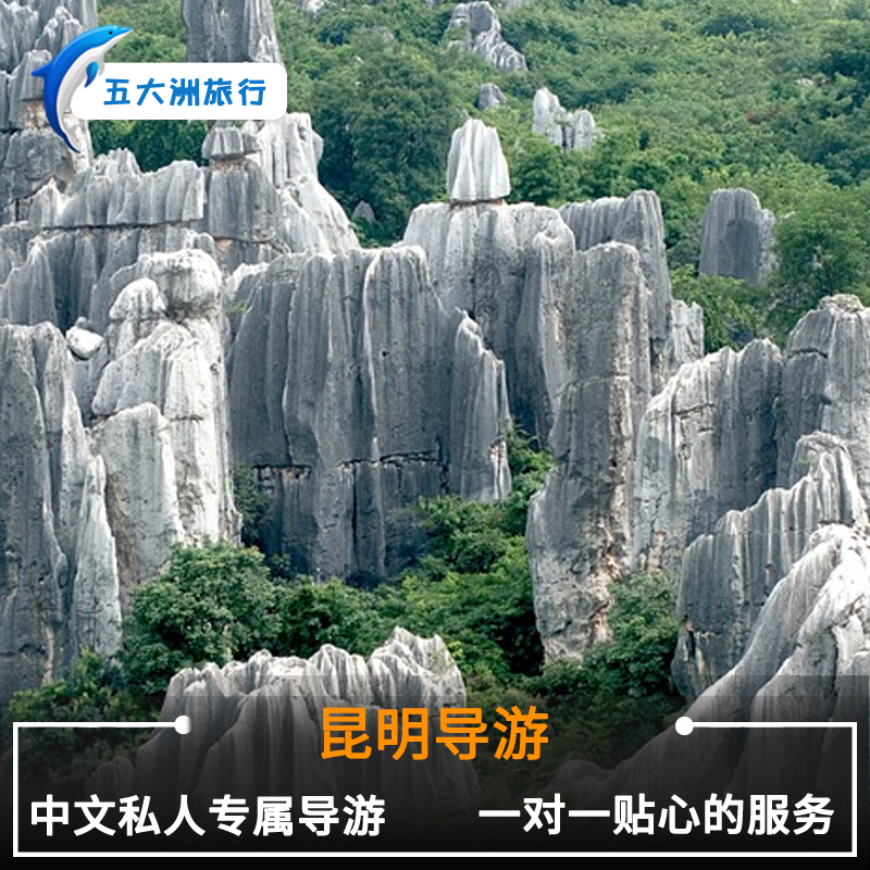 贵阳市游览社英语伴游雇用(贵阳市前十名游览社是哪几家)